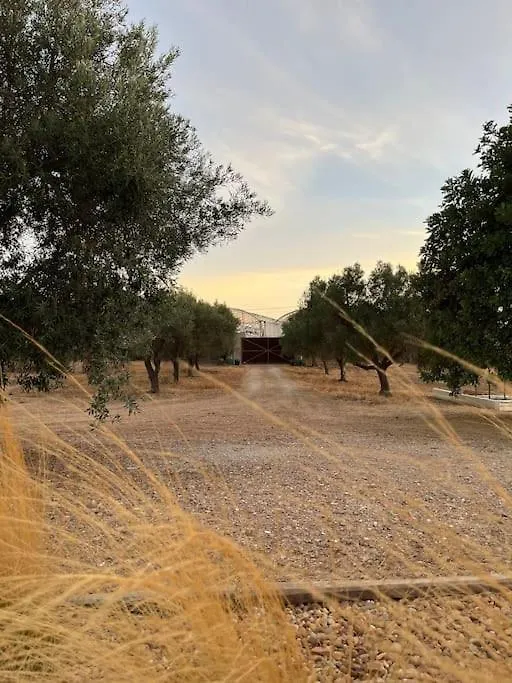 Prázdninový dům Quinta Da Alfarrobeira Peaceful Countryside Stay Faro Portugalsko